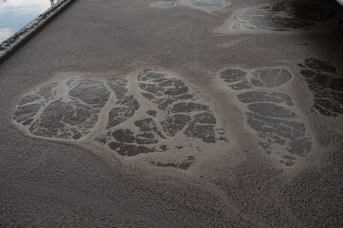 ścieki, paliwo, olej napędowy, biopaliwo, usa, Pacific Northwest National Laboratory