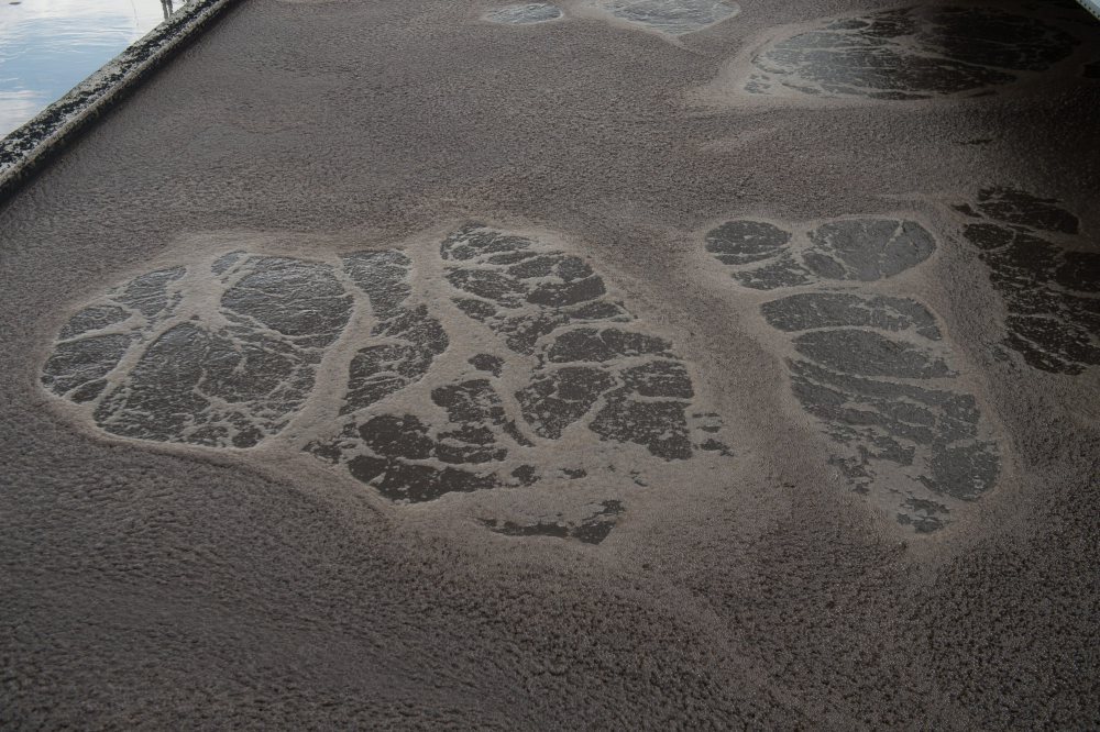 ścieki, paliwo, olej napędowy, biopaliwo, usa, Pacific Northwest National Laboratory