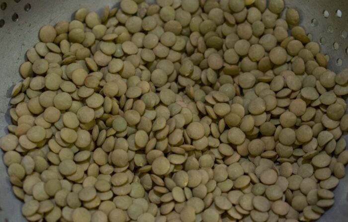 soczewica, włochy, umbria, nursja, uprawa soczewicy, rośliny strączkowe