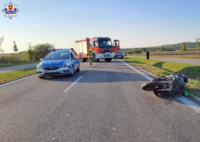 wypadek, łoś, łosie, śmierć motocyklisty