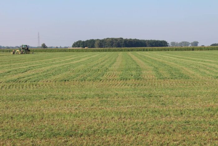 KOWR, grunty państwowe