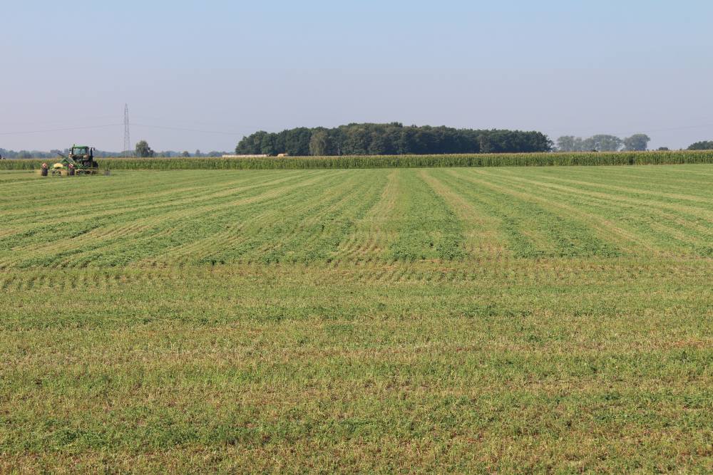 KOWR, grunty państwowe