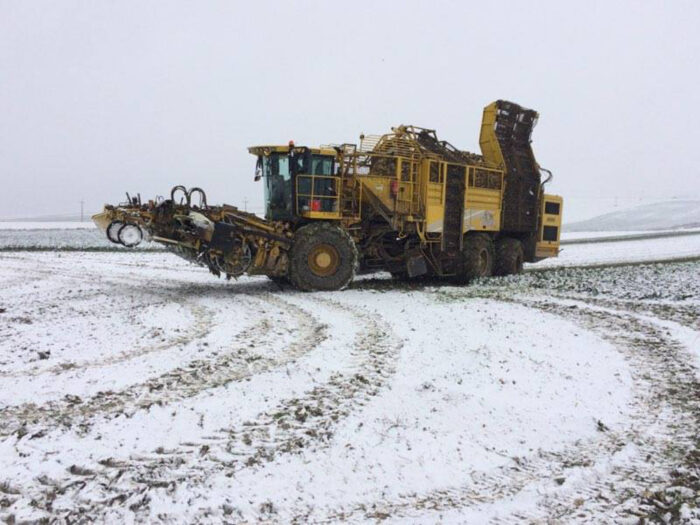 kombajn do buraków, pole, śnieg