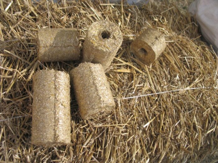 produkcja biomasy, Spółdzielnia Kółek Rolniczych w Daszynie, elektrownia bełchatów