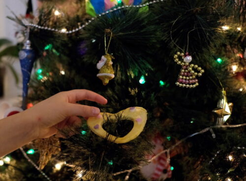 choinka, choinka sztuczna, choinka żywa, ekologia, Piotr Skubała, Uniwersytet Śląski