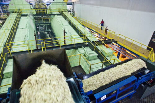 cukier, produkcja cukru, buraki cukrowe, ierigż, ceny cukru, konsumpcja cukru, cukrownia