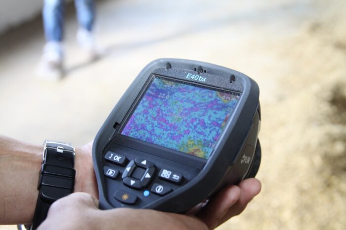 dziki, asf, kamery termowizyjne, odstrzał dzików