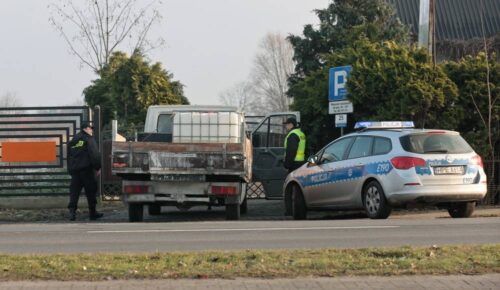 wirus H5N8, drób, ptasia grypa, zagrożenie dla drobiu, lubuskie