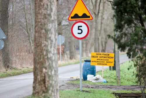 ptasia grypa, deszczno, lubuskie, bioasekuracja, Włodzimierz Skorupski, Główny Lekarz Weterynarii