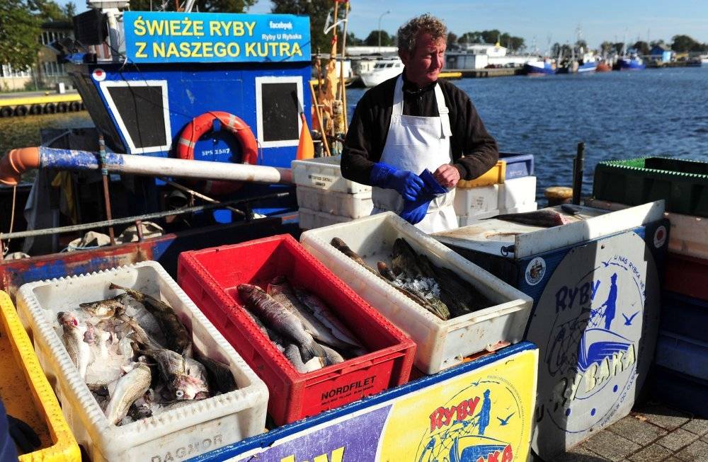 wzrost cen, zakupy, wzrost cen ryb, pieniądze, przetwory rybne