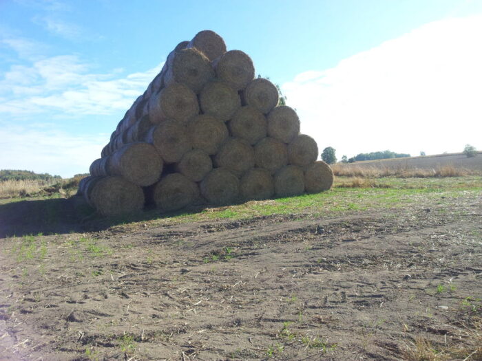 biomasa, pozostałościz produkcji rolnej, Ireneusz Zyska, MKiŚ