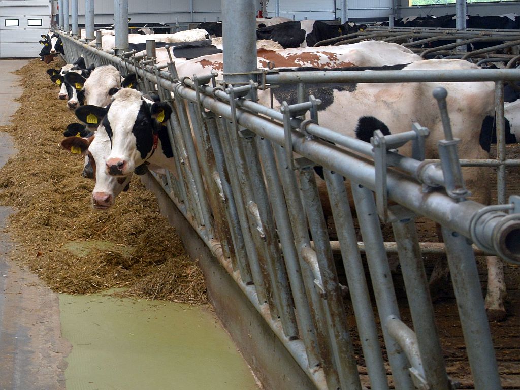 komornik, egezukucja komornicza, stado, zwierzęta gospodarskie, maszyny rolnicze, nawozy