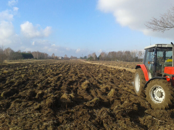 ugór, rekultywacja, pole