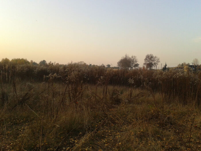 Włochy, Ettore Prandini, związek rolników Coldiretti, uprawa ziemi, bezieczeństwo żywnościowe