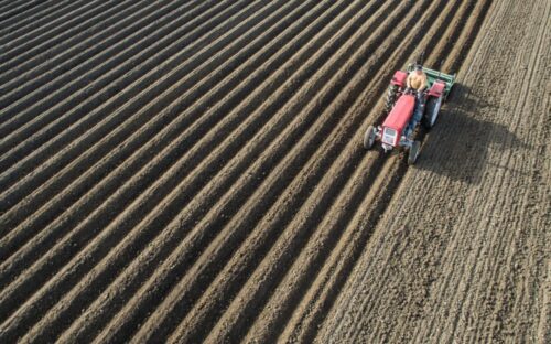 ubezpieczenia rolne, ubezpieczenie upraw, ubezpieczenie zwierząt