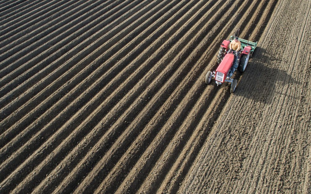 ubezpieczenia rolne, ubezpieczenie upraw, ubezpieczenie zwierząt