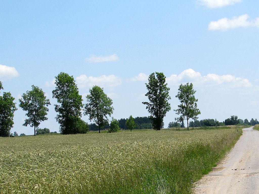 opolszczyzna, śląsk, ziemia, nieruchomość rolna, zakup ziemi, kryteria przy zakupie ziemi