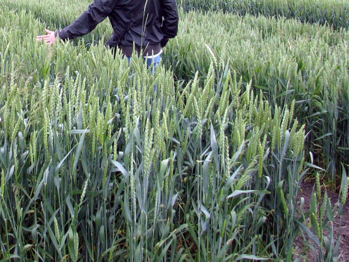 podatek od czynności cywilnoprawnych PCC, podatek za zakup ziemi, zakup ziemi, ziemia, mazowiecka izba rolnicza