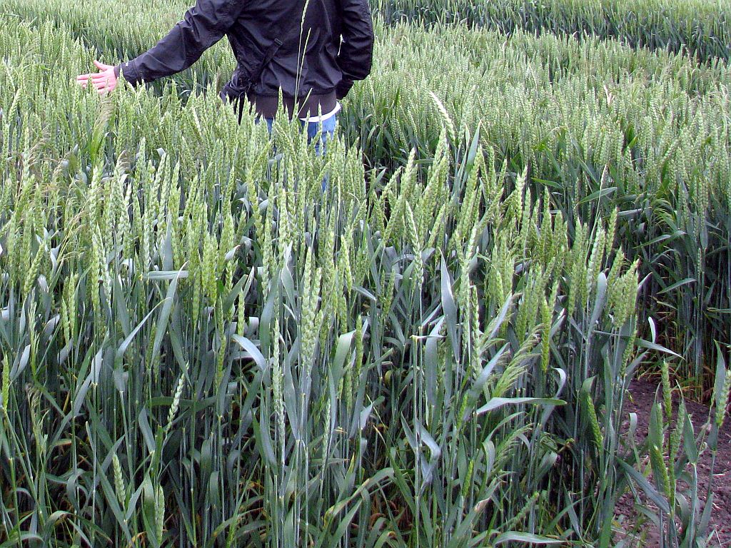 podatek od czynności cywilnoprawnych PCC, podatek za zakup ziemi, zakup ziemi, ziemia, mazowiecka izba rolnicza