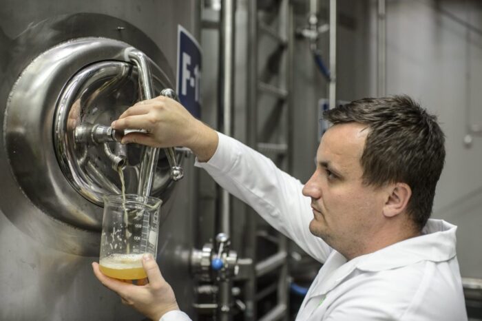 jabłka, cydr, przetwórnie, picie cydru, produkcja cydru, cydr lubelski