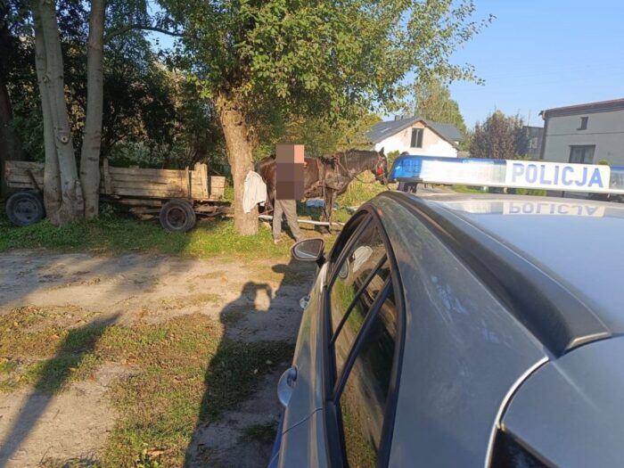 zaprzęg, koń, pijany woźnica, interwencja