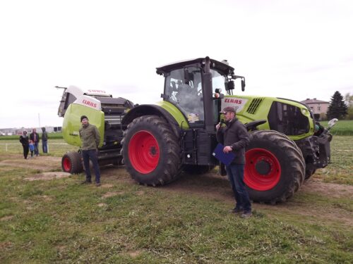 bydło mięsne, szkolenie w Końskowoli, lubelskie, bydło, PZHiPBM