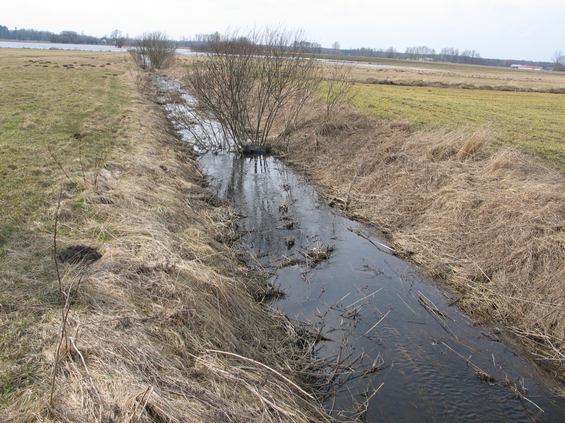 melioracja, rowy melioracyjne, prawo, przepisy, dbanie o rowy melioracyjne