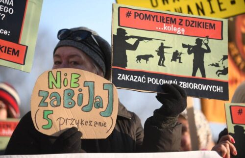 Prawo łowieckie, nowelizacja Prawa łowieckiego, protest, PiS, Jarosław Kaczyński, Polski Związek Łowiecki