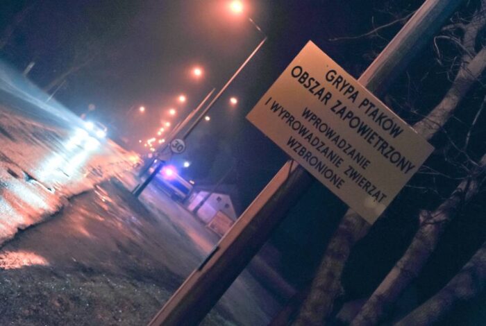 ptasia grypa, H5N8, nowe przypadki ptasiej grypy, podtyp H5N8, drób, wirus