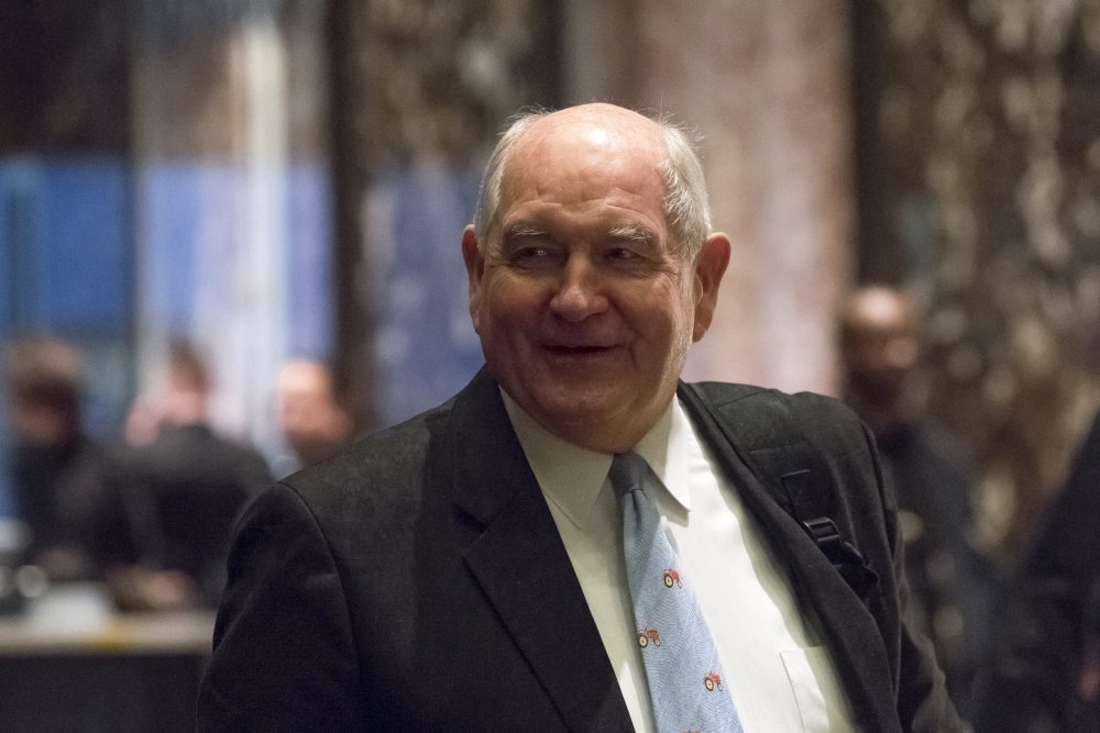 Sonny Perdue, donald trump, stany zjednoczone, rolnictwo, amerykański departament rolny, georgia