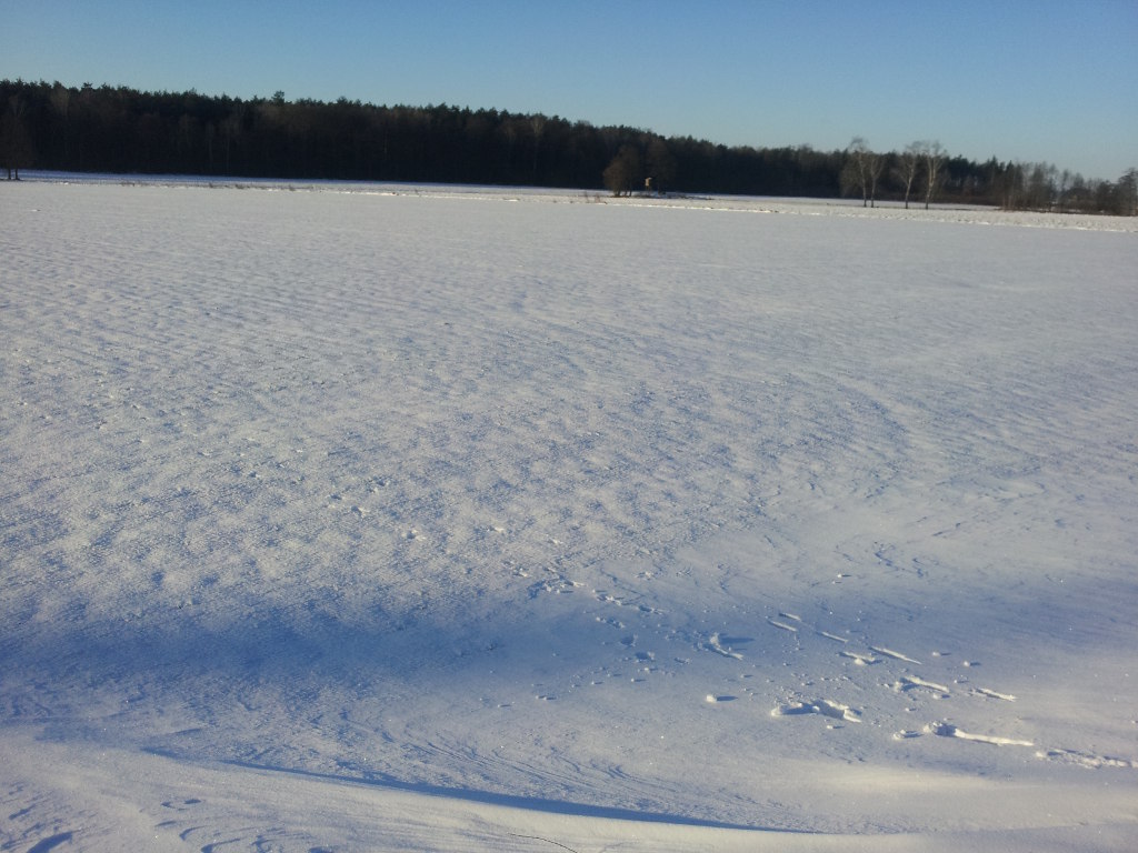 pole, śnieg, mróz