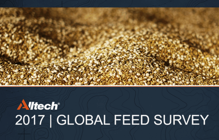 pasze, bydło, drób, trzoda chlewna