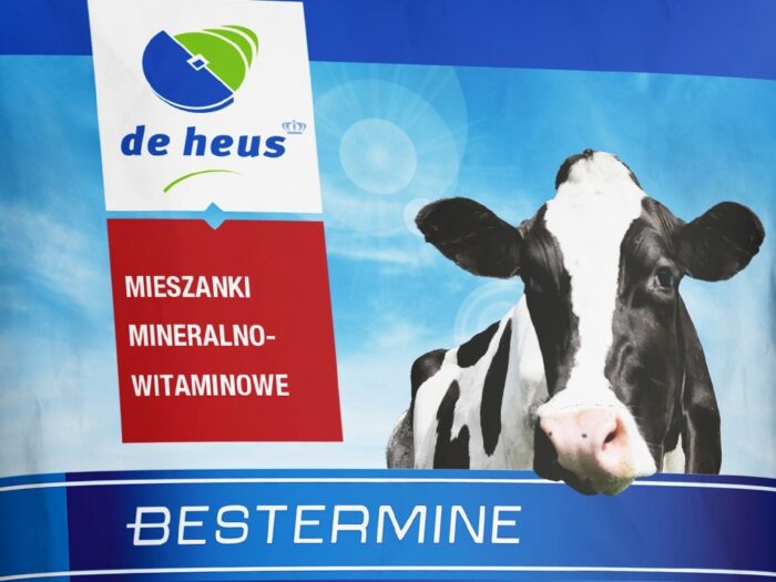 Bestermine, de heus, bydło mleczne, cielęta