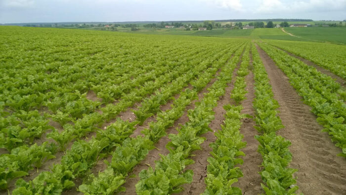 nawozowe produkty mikrobiologiczne, biostymulatory, podatek VAT, ministerstwo finansów