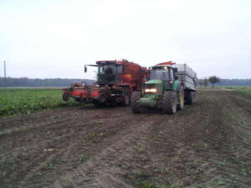 buraki cukrowe, kombajn, ciągnik,przyczepa