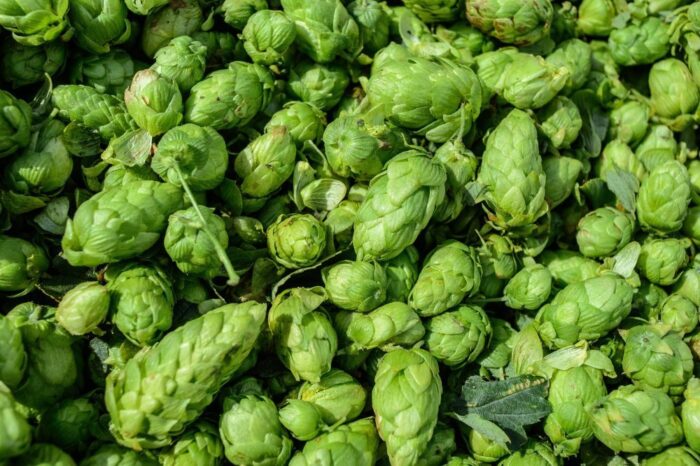 żywność, artykuły spożywcze, ijhars, lublin, laboratorium inspekcji jakości artykułów spożywczych