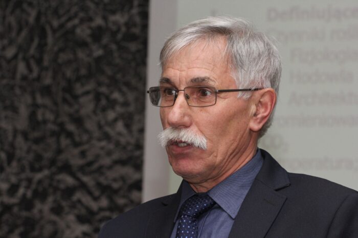 kiszonka, kukurydza, nawożenie, bydło mleczne