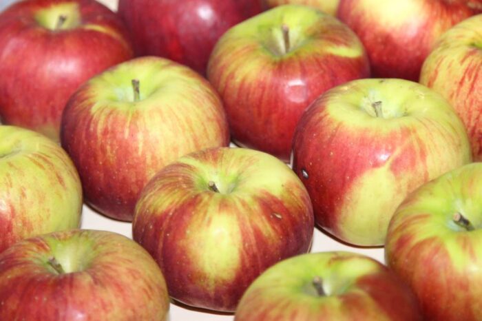 unia owocowa, eksport owoców, brexit, Arkadiusz Gaik