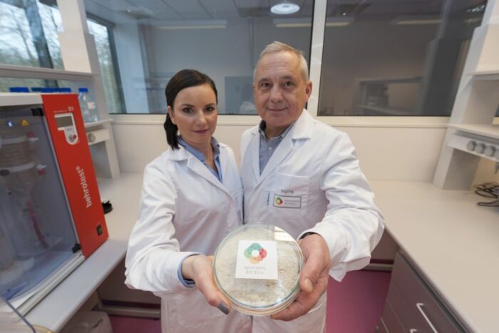 rzepak, białko z rzepaku, NapiFeryn BioTech, Narodowe Centrum Badań i Rozwoju, łódź, wilmar