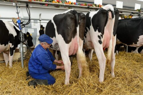 spółdzielnie rolników, krzysztof jurgiel, ministerstwo rolnictwa, produkty rolne, sprzedaż produktów rolnych