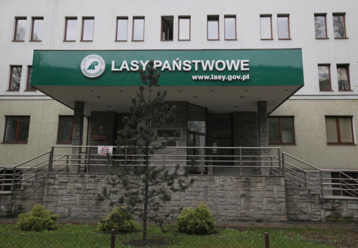 lasy państwowe, drewno, pozyskiwanie drewna, opał, konrad tomaszewski, inwestycje z samorządami