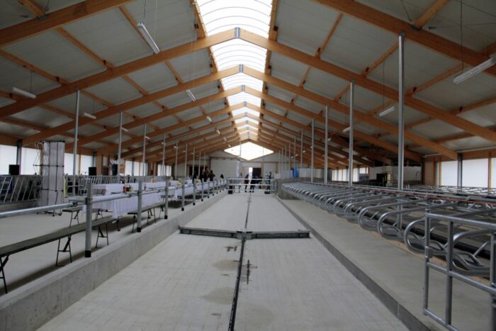 obora wolnostanowiskowa, drewno klejone, bydło mleczne