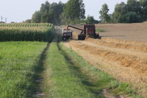 innowacje w rolnictwie, rolnictwo, konkurencyjność sektora rolnego, działanie współpraca, prow