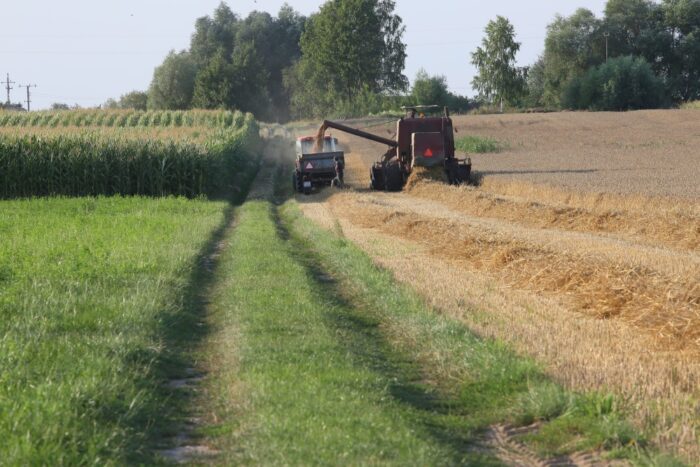 innowacje w rolnictwie, rolnictwo, konkurencyjność sektora rolnego, działanie współpraca, prow