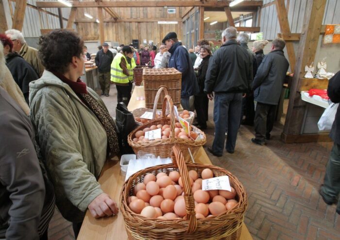 Creating Entrepreneurs in Food, kwalifikacje marketingowe rolników, żywność, sprzedaż żywności