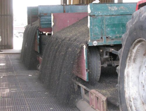 Juliusz Młodecki, Polska Koalicja Biopaliw i Pasz Białkowych, biopaliwa, Adam Stępień