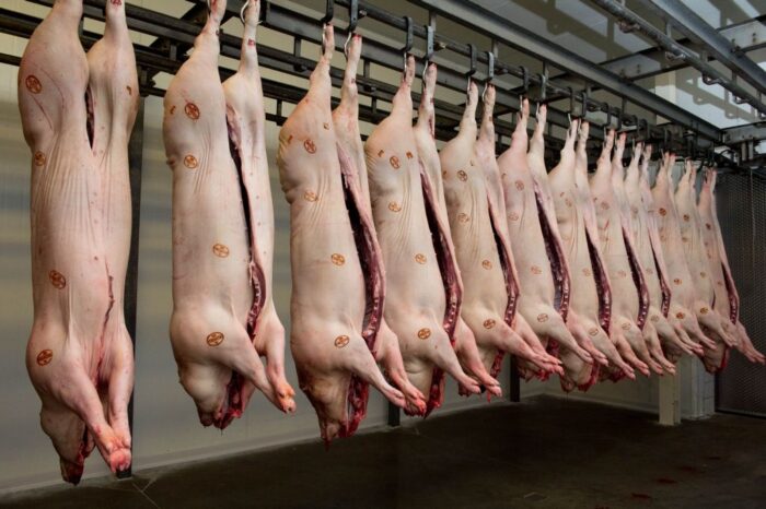 branża mięsna, rynek mięsna, firmy mięsen, handel mięsem, Unimięs, Peklimar, Madej Wróbel