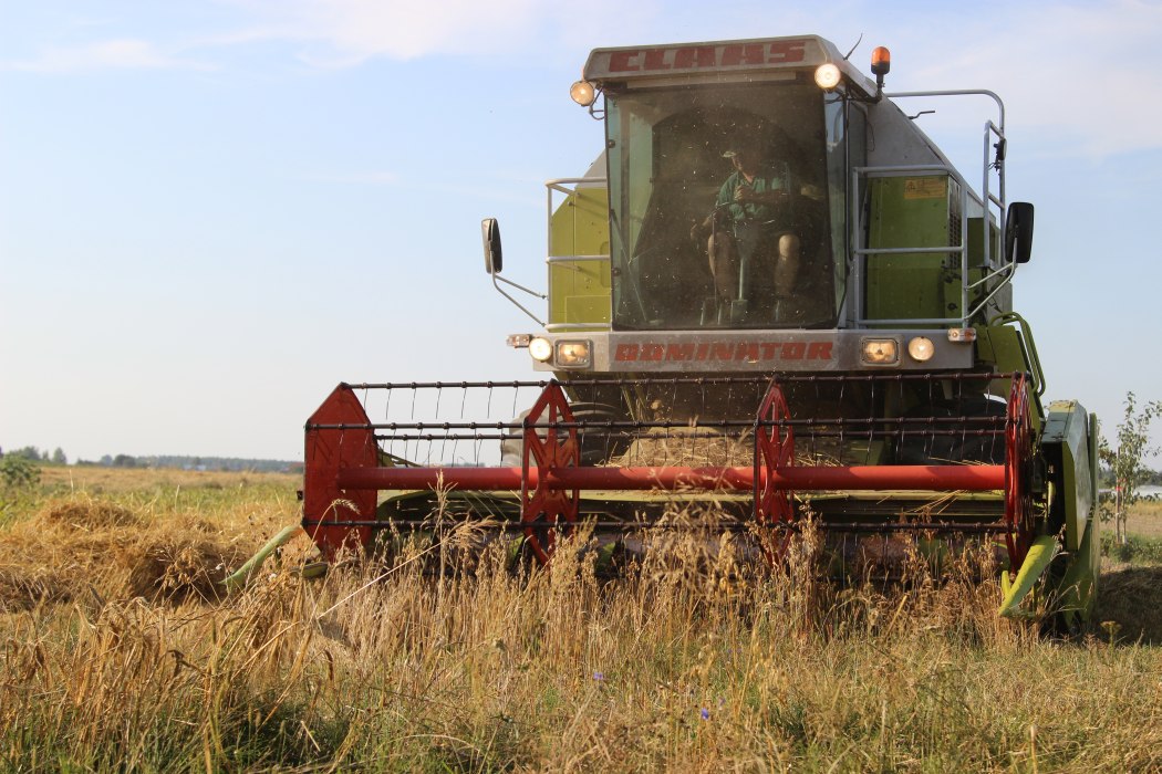 żniwa, zboża, pszenica, jęczmień, żyto, agrobiznes