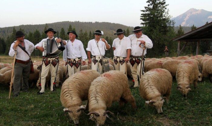 baca, juhas, owce, praca, małopolskie, Urząd Marszałkowski Województwa Małopolskiego