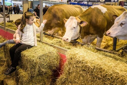 salon rolniczy w paryżu, paryż, francja, kryzys w rolnictwie, FNSEA, Christiane Lambert